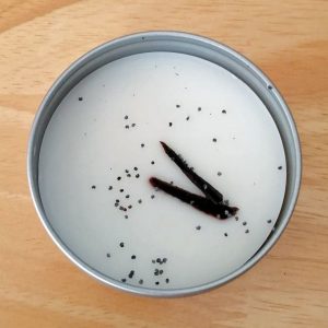 Wax Melt in a Tin – Vanilla